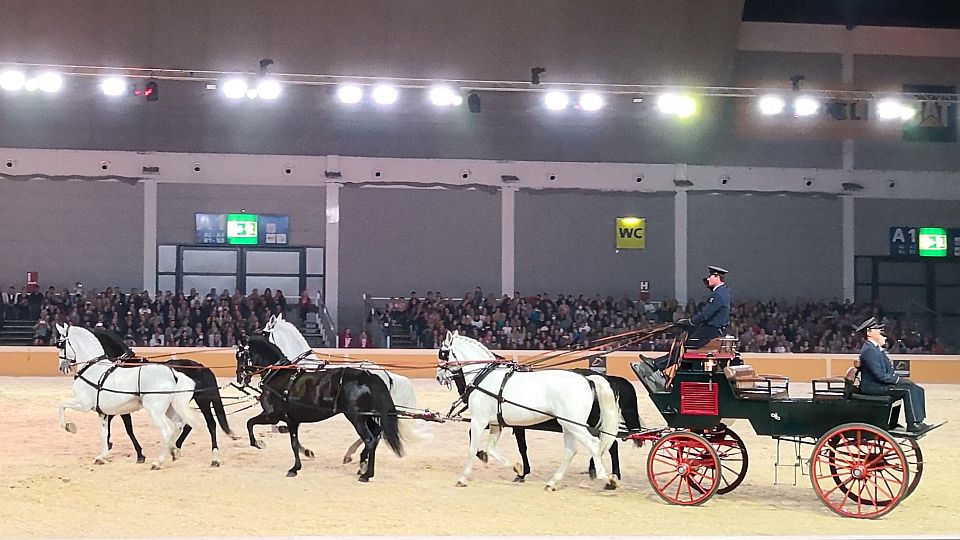 Starokladrubští koně účinkovali v show na veletrhu ve Friedrichshafenu