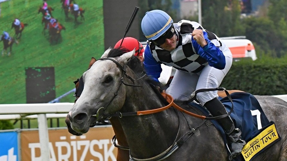 Dostihové Velké ceny můžete sledovat živě na ČT Sport i na internetu