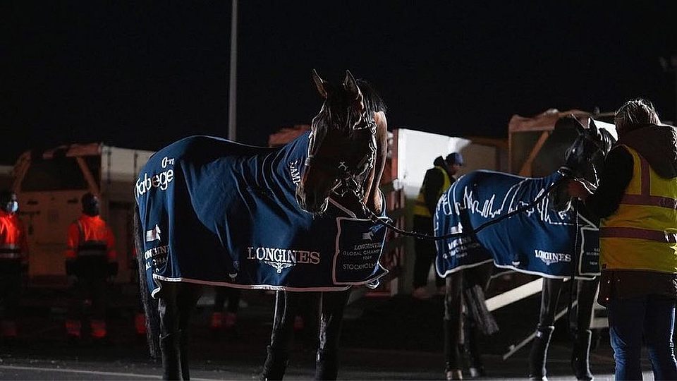 Koňští účastníci Global Champions dorazili do Dauhá. Nechybí ani ti čeští