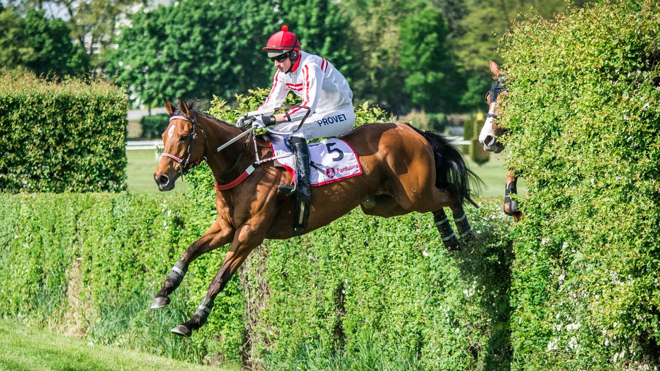 Favoritkou závěrečné kvalifikace je Ztracenka, láká i rámcový program