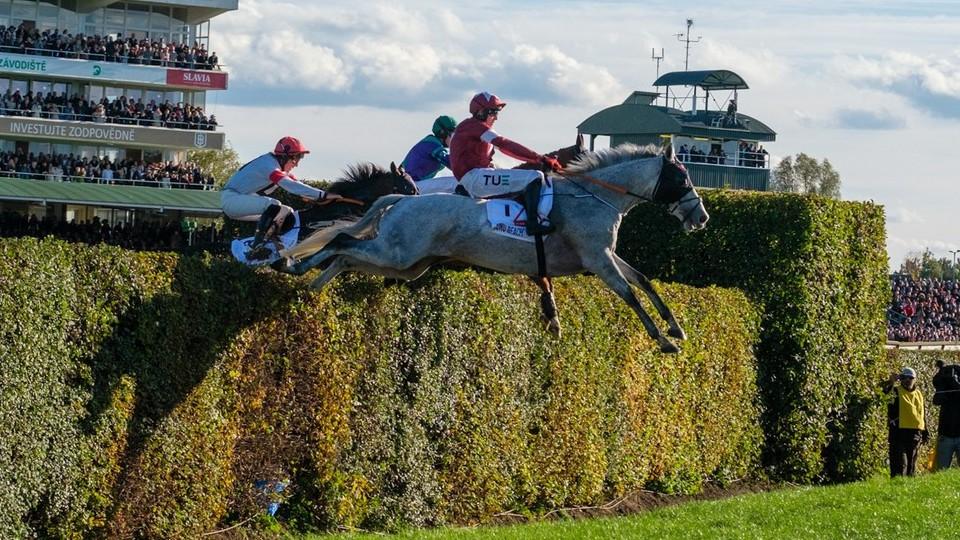 Irská hvězda, dva vítězové i nováčci. Do Velké pardubické směřuje 16 koní