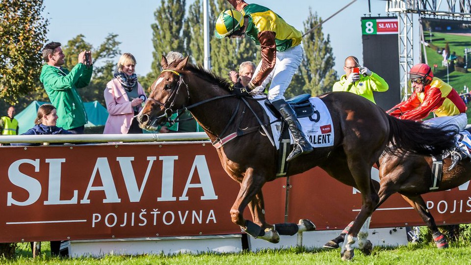 Účastníky letošní Velké pardubické přivede před tribuny čtrnáctiletý Talent
