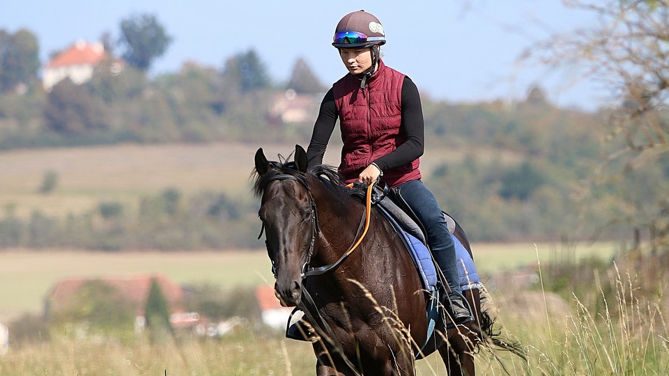 Troizilet druhý v Chantilly, Red Dynamite nestačila na "all stars"