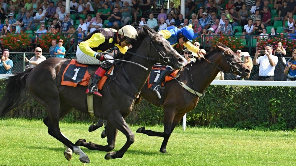 Zemřel Jiří Suchánek, trenérská legenda Křenůvek i Albertovce