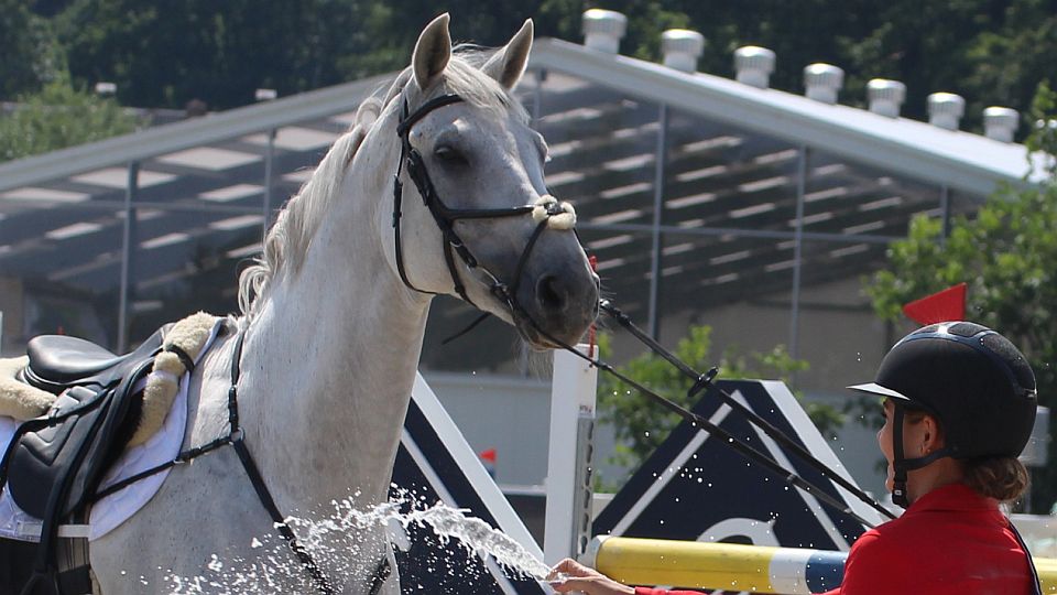 Kodadová a Sovová v sobotu mezi nejlepšími při CSIO ve Zduchovicích
